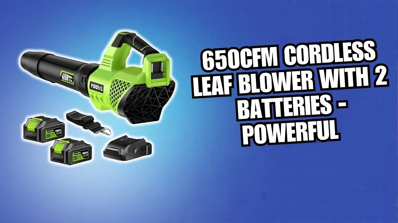 650CFM Cordless Leaf Blower with 2 Batteries - POWERFUL