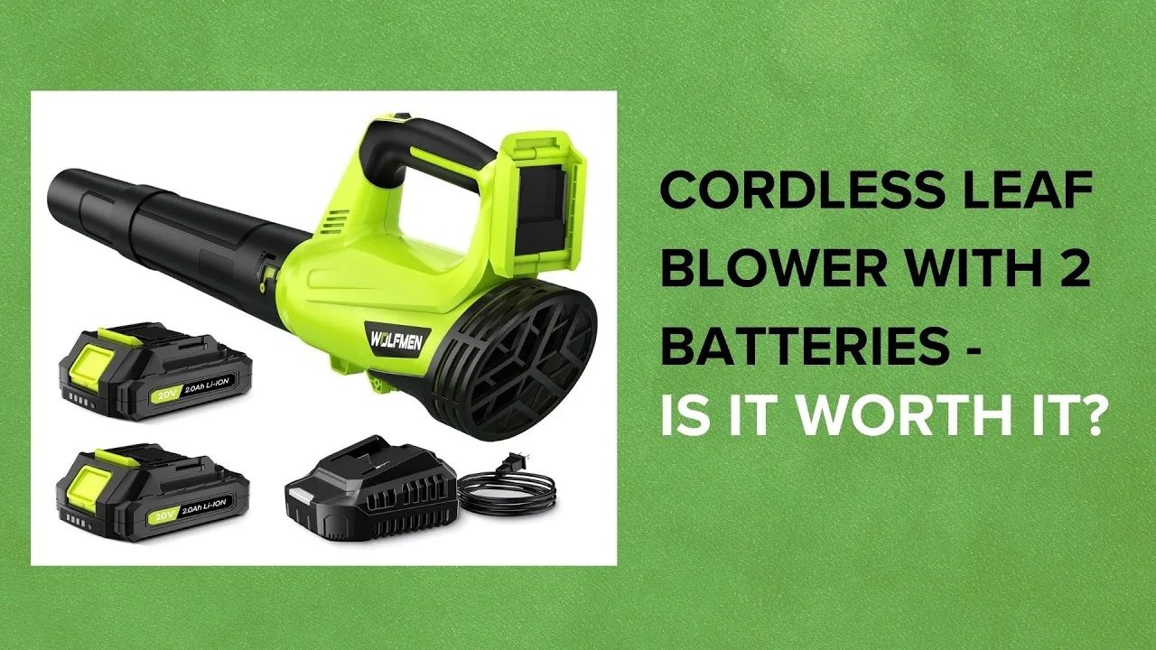 Cordless Leaf Blower with 2 Batteries - Is It WORTH IT?